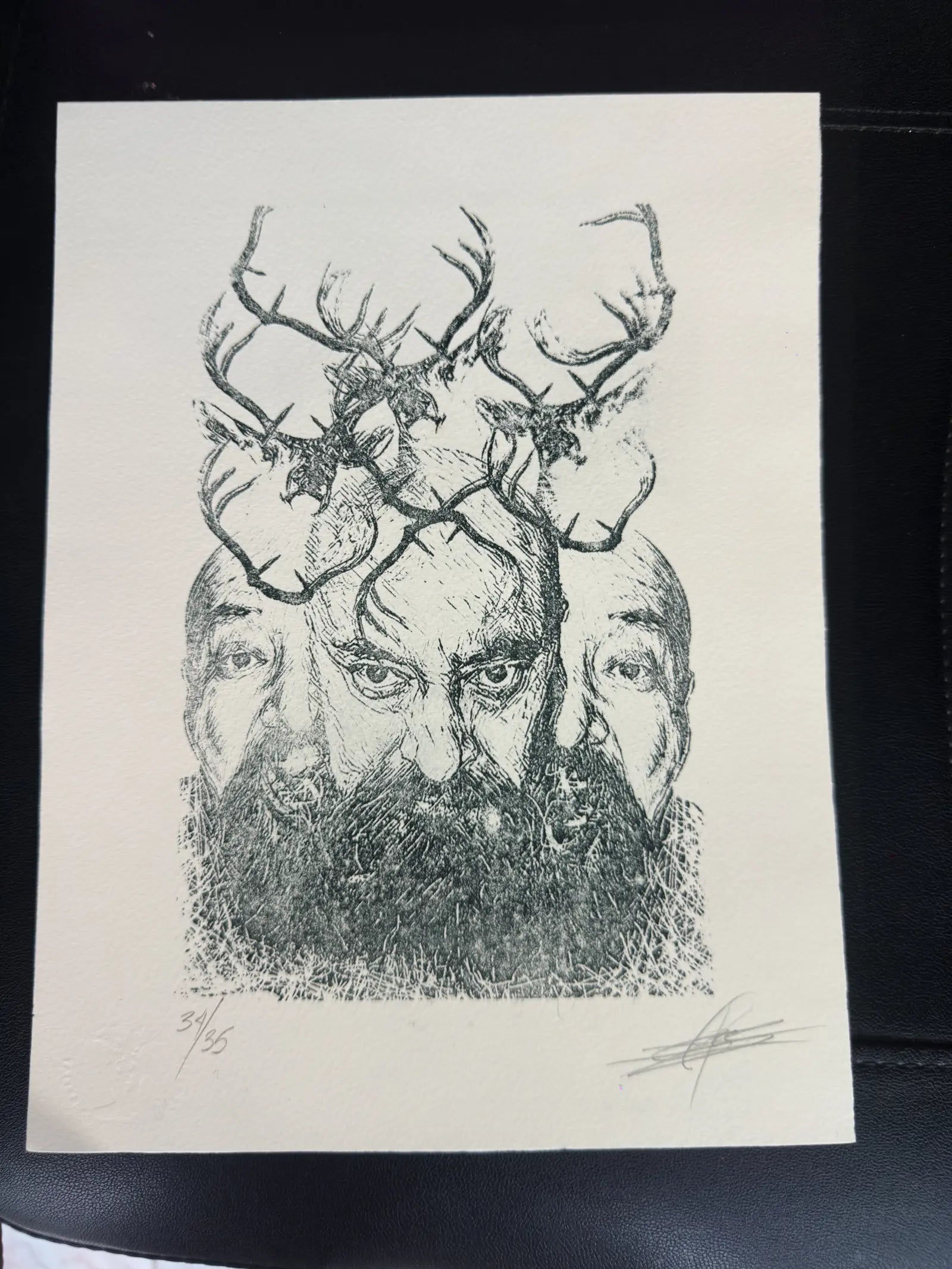 Venado 17