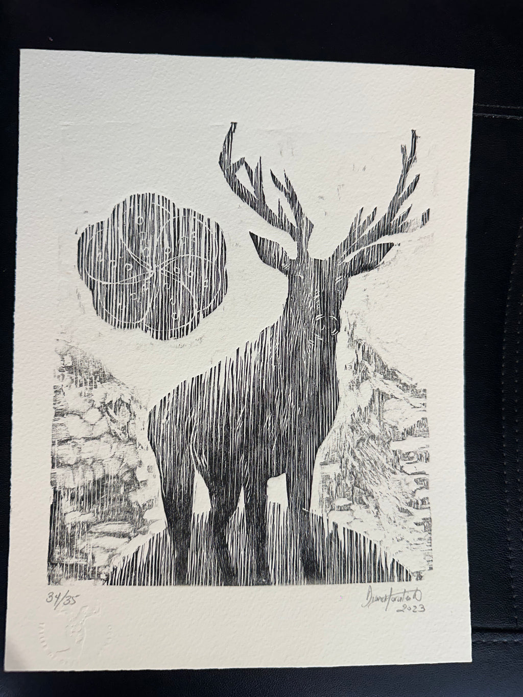Venado 12