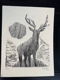 Venado 12