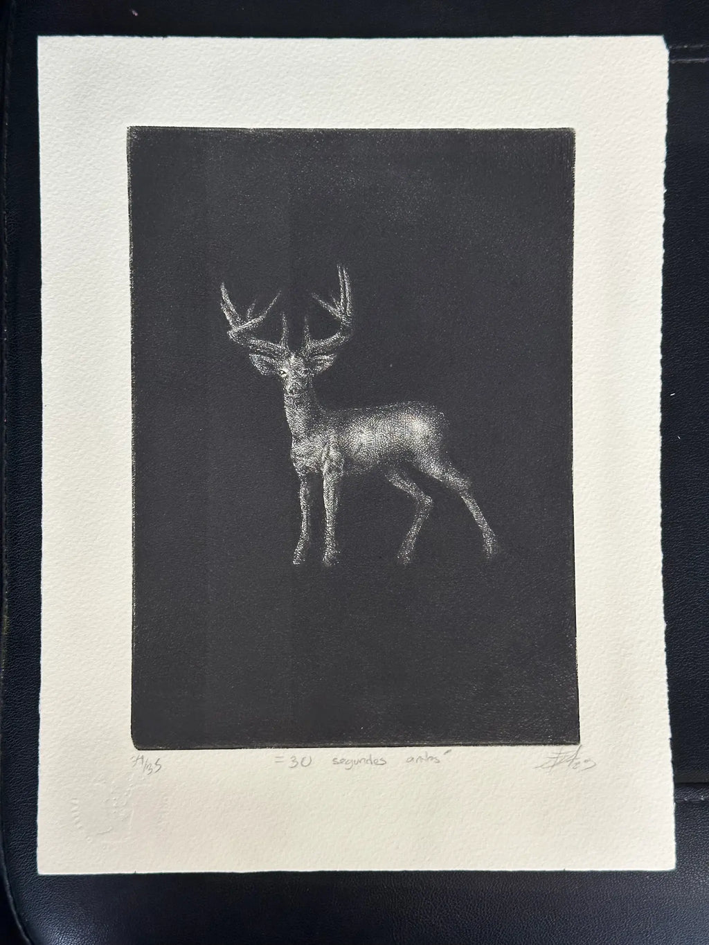 Venado 13
