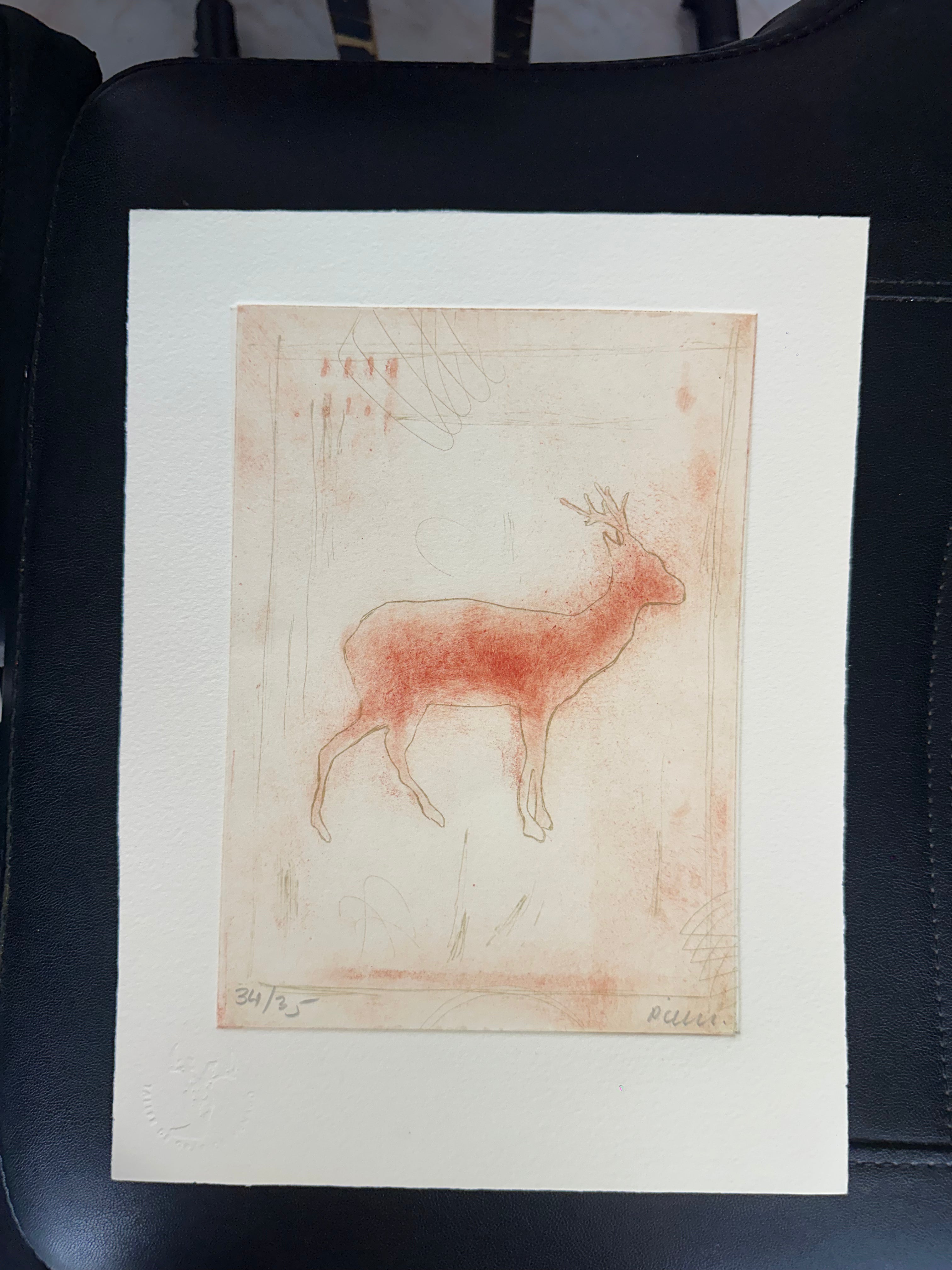 Venado 9