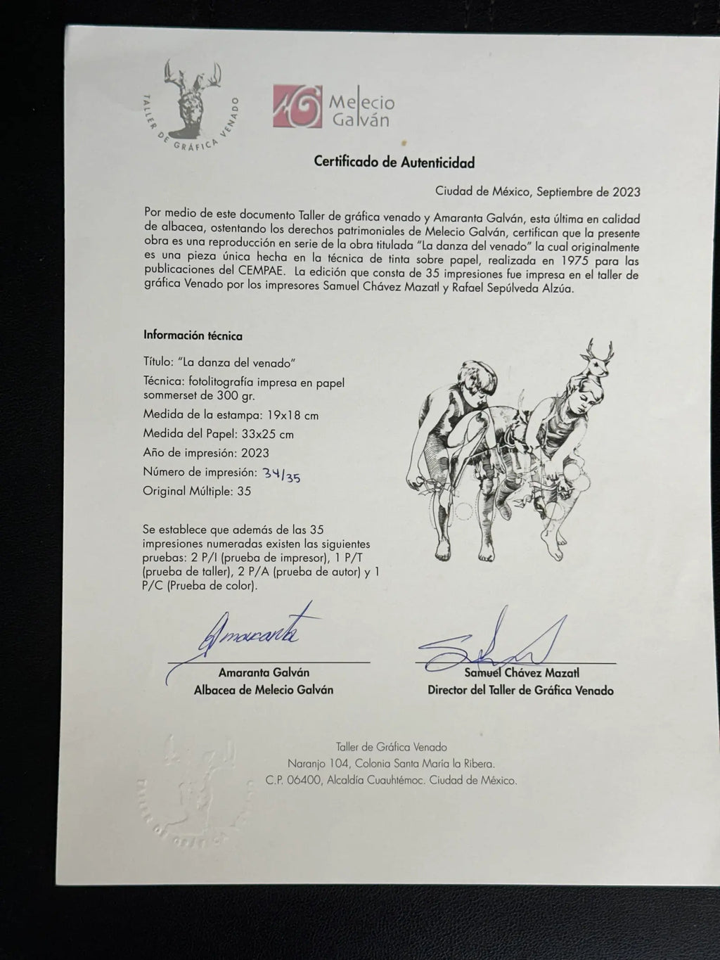 venado 8