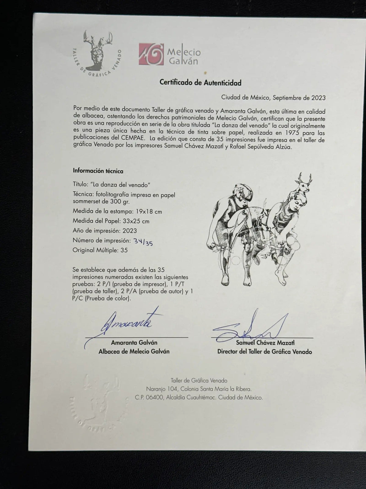 venado 8